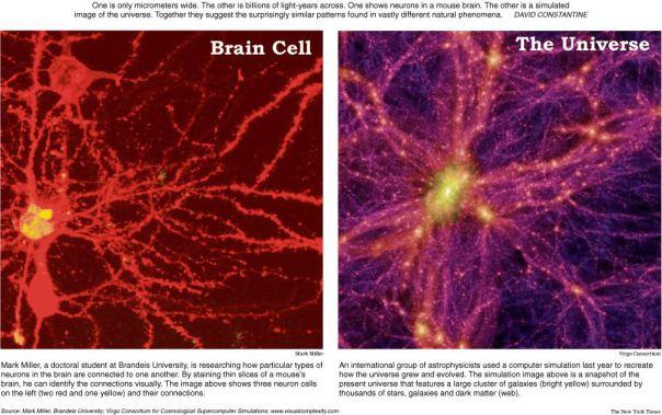 Neironi un visums Autors: bomzay Tu esi Dievs