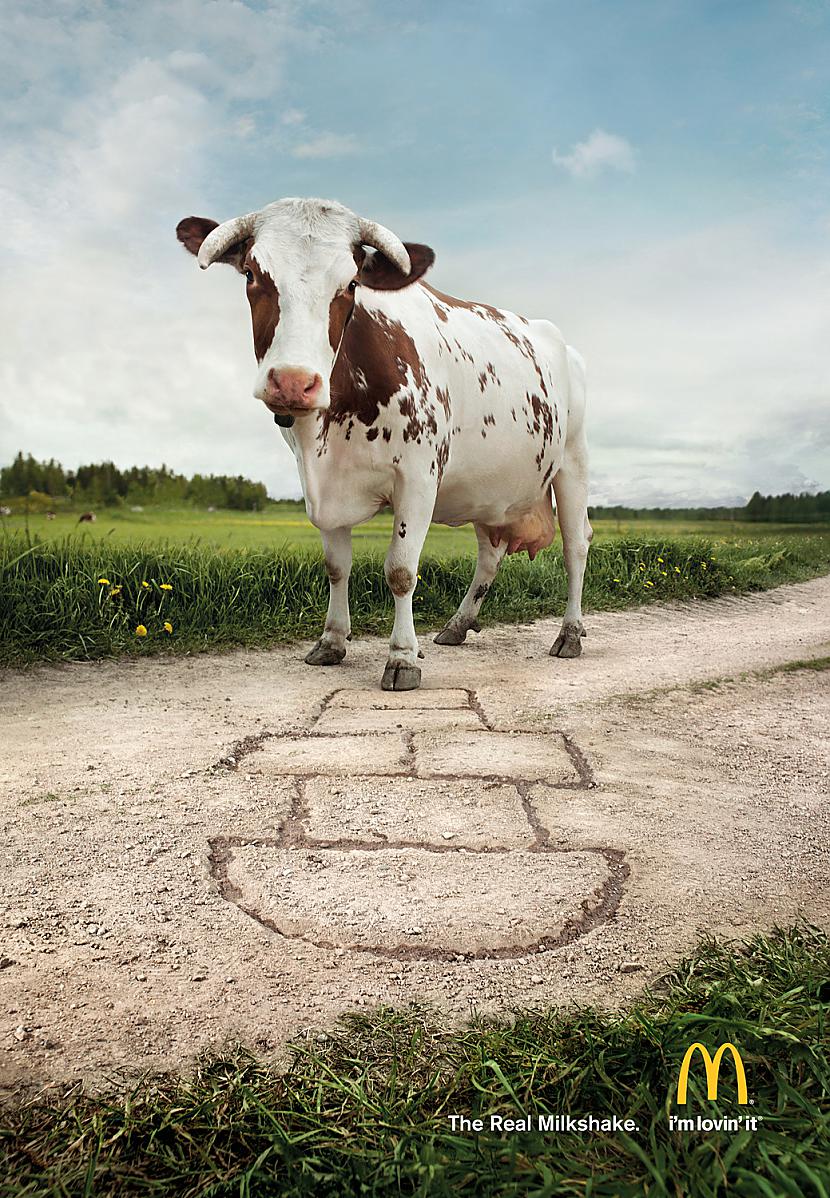 Trakie govs pārstrādātāji55... Autors: Plušķainītis 10 šokējoši McDonald's fakti