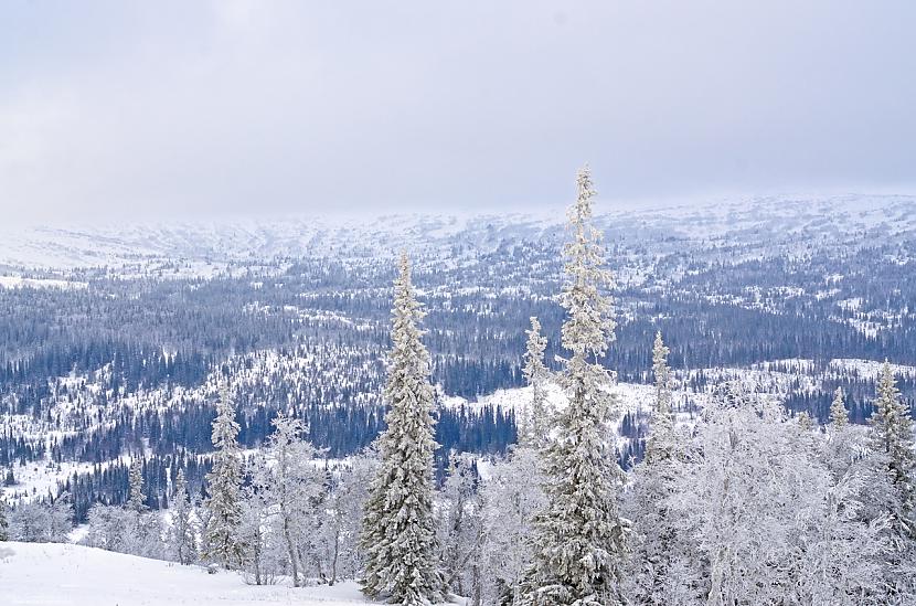  Autors: Fosilija Zviedrija - Åre