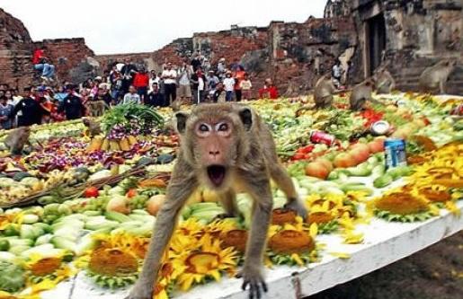 Monkey Buffet Festival... Autors: GanjaGod Mazāk zināmi festivāli