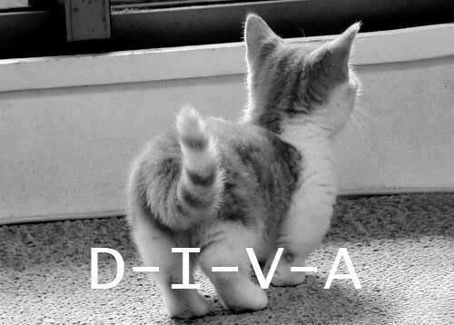  Autors: Anastasija Smile Cat..