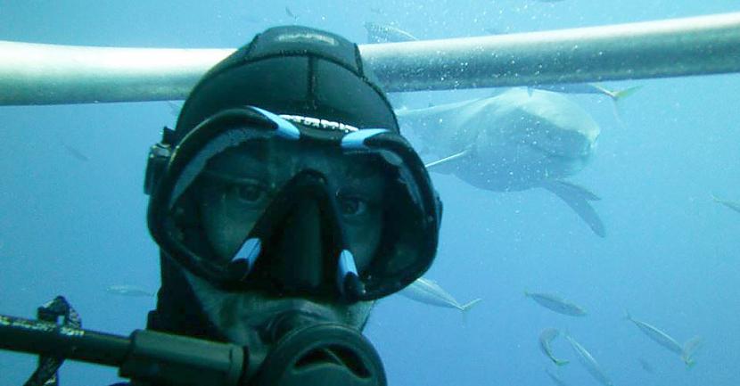 Selfijs ar lielo balto haizivi Autors: vodkam Bīstamākie selfiji