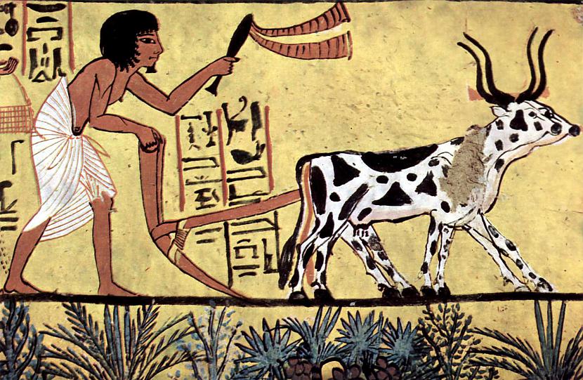 Bet agrikultūrai prētīm... Autors: LordOrio Pasaules vēsture#1-Agrikultūras revolūcija