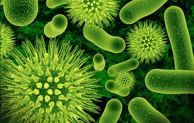 Ja visas baktērijas no mūsu... Autors: MJ SuperFakti par tavu ķermeni!