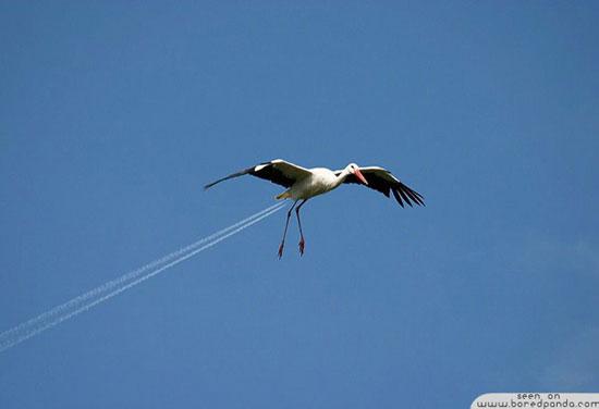  Autors: Kapteinis Cerība Dažas bildītes ar izdomu.