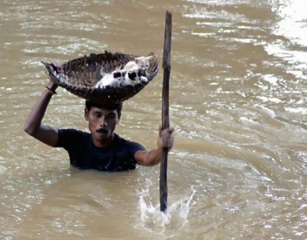 Vīrietis glābj kaķēnus plūdu... Autors: Uldis Siemīte 24 fotogrāfijas kuras parāda pagājušo desmitgadi