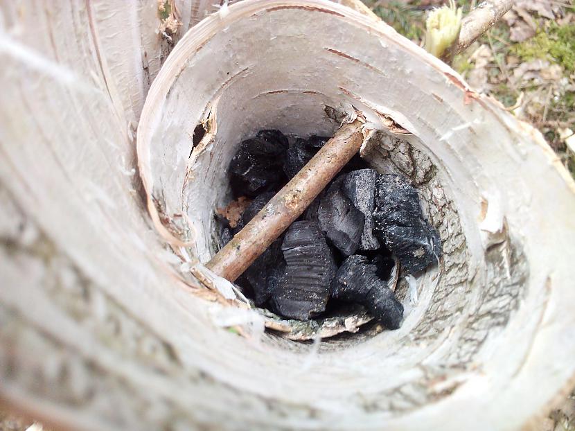 Lūk iebērtas ogles Pa virsu... Autors: Drakolich Dodamies mežā! #2