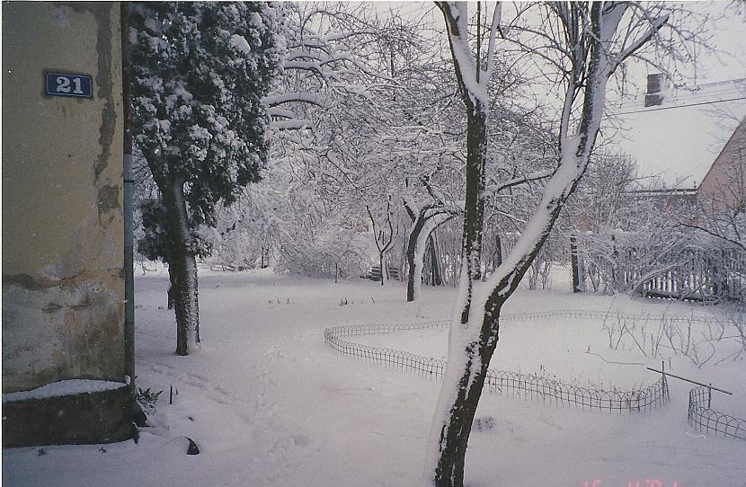 Kādreiz ziemās bija sniegs un... Autors: Werkis2 90desmitiem-2000.gadi(Vecie labie laiki, kad zāle bija zaļāka un debsis zilākas)