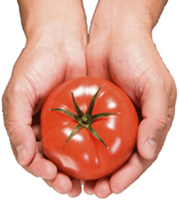 Mīts ķirbis un tomāts ir... Autors: twist Mīti, kuriem tu vēljoprojām tici!