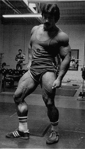  Autors: Stallion Mike Mentzer-Heavy Duty