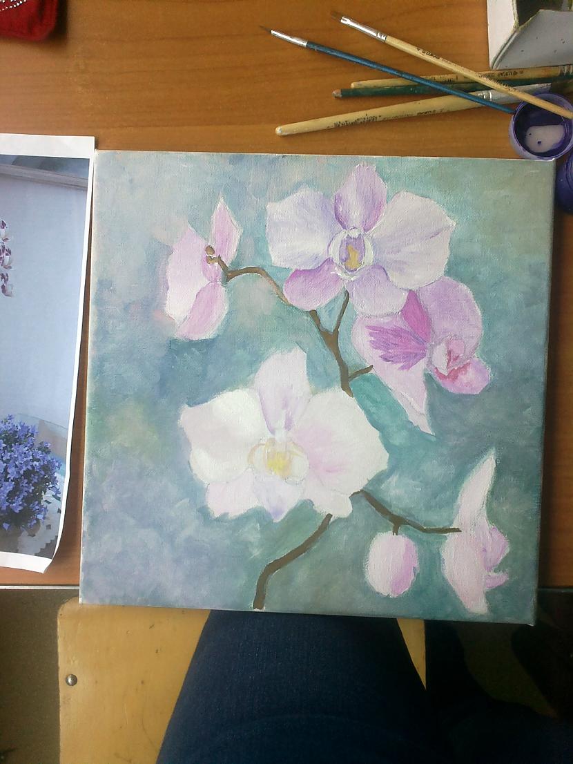 scaronur tur kaut ka pielabots... Autors: SākuDzīvi NoJauna Manis gleznotas orhidejas (soli pa solim)