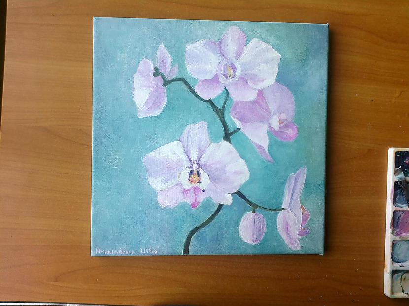 Nu re gala darbs  Protams... Autors: SākuDzīvi NoJauna Manis gleznotas orhidejas (soli pa solim)