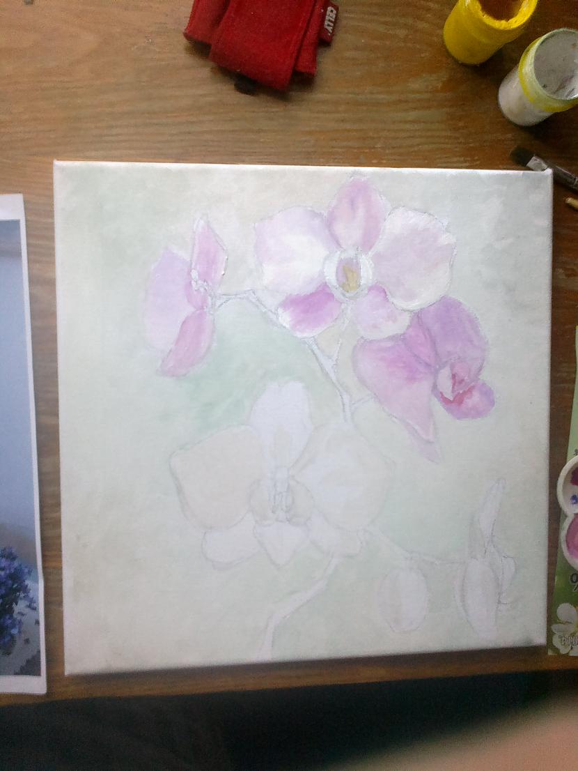 Darbam bija apm 3 4 kārtas Autors: SākuDzīvi NoJauna Manis gleznotas orhidejas (soli pa solim)