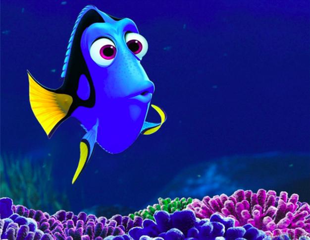 Ļoti iepējams ka meklējot Nemo... Autors: Lellucis Pixar sazvērestības teorija