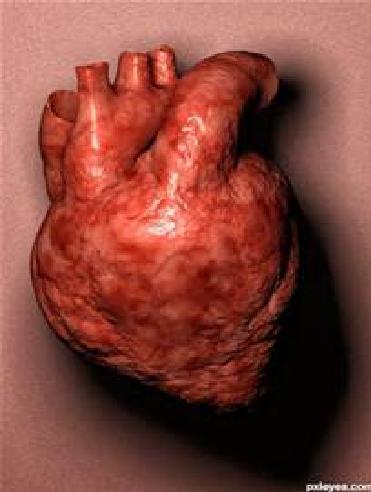 Cilvēka sirds izmērs ir... Autors: Owl Star Dažādi fakti.