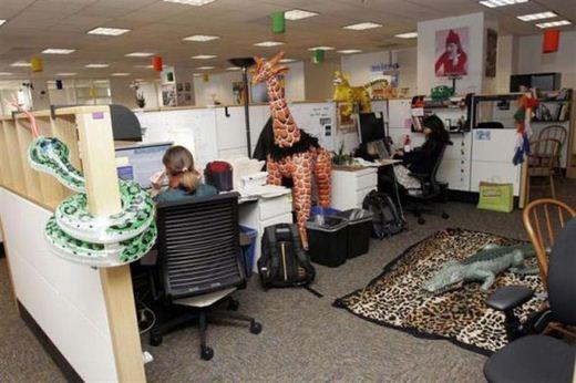 Autors: Fosilija Vai tu zini, ka izskatās Googles ofiss?