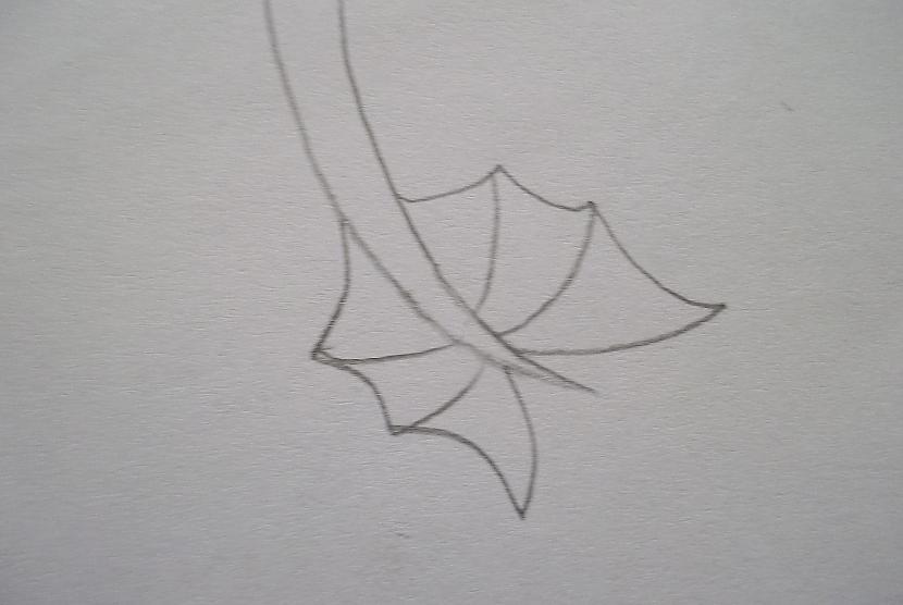 Izveidojam līdz galam Autors: vienpadsmitgadniece Kā zīmēt: lidojošs tumsējs fūrijs.