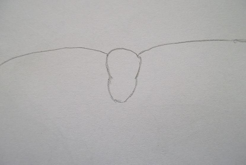 Tagad zīmējam galvu Bildē... Autors: vienpadsmitgadniece Kā zīmēt: lidojošs tumsējs fūrijs.