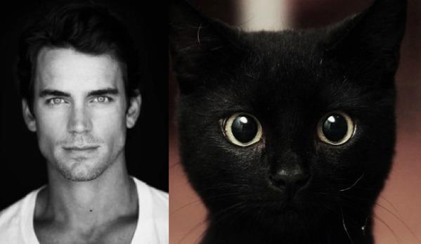  Autors: hagisons112 Kaķis vai džeks? Kurš labāks?