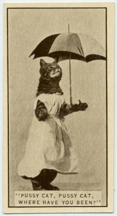 Kaķis pozē cigarescaronu... Autors: SunshineFlower 40 neparastas bildes no pagātnes, kuras katru dienu tu neieraudzīsi