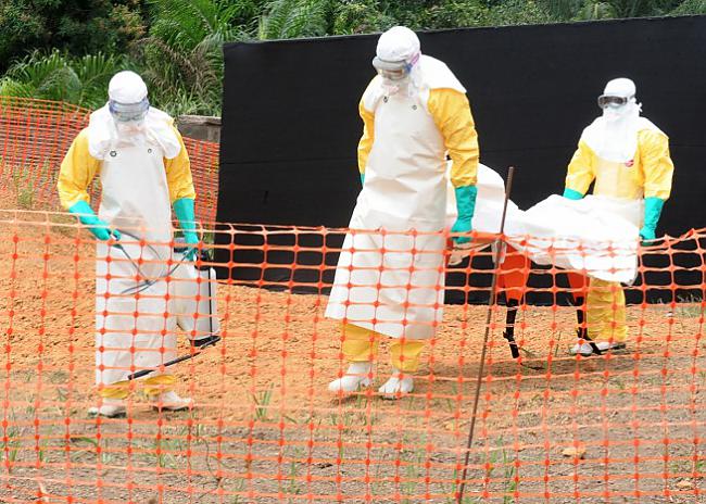 Uz Eiropu Ebolas vīrusu atveda... Autors: ghost07 Kas ir Ebolas vīruss jeb melnā nāve?