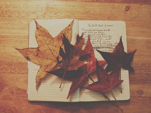  Autors: QOED Hello autumn!