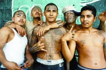 MS13nbsp Mara Salvatrucha liek... Autors: Edgarinshs Bīstamākās bandas pasaulē TOP10