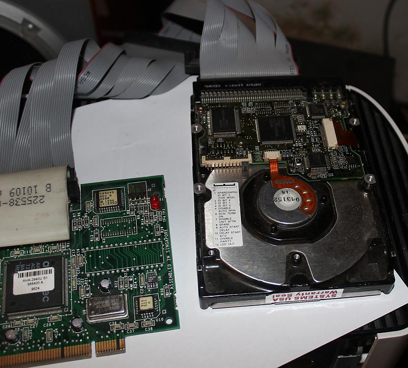 SCSI 2 GB Cietais disks  Autors: Werkis2 Vecs serveris Compaq Deskpro 6000