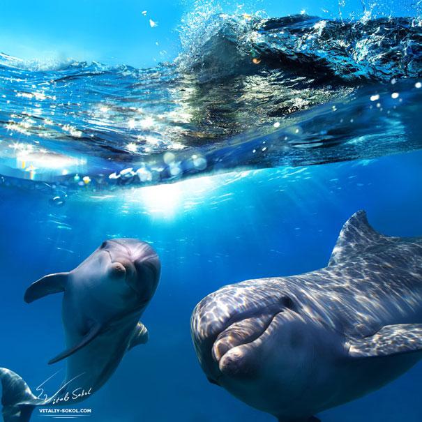 Delfini ir devuscaroni cits... Autors: Vormis95 13 Fakti par dzīvniekiem!!!
