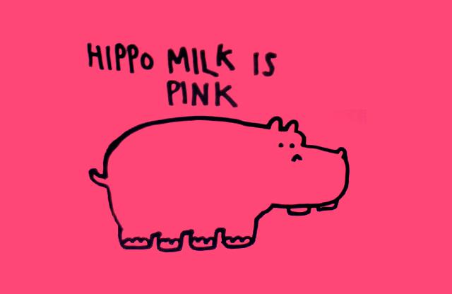 Nilzirga piens ir roza Autors: G6 Neticami Fakti