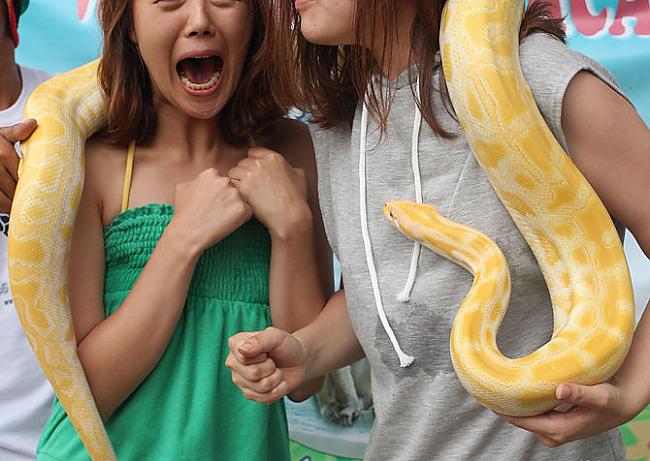 Kā zināms čūskas ir bīstamas... Autors: Fosilija 10 Visbiedējošākās lietas