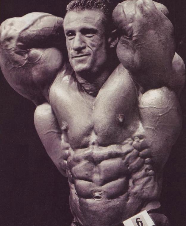  Autors: Stallion Build your body, build your character.