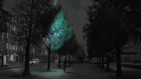 Vēl pie plusiem tas nozīmē... Autors: Smaug Tumsā spīdoši koki aizvietos ielu apgaismojumu