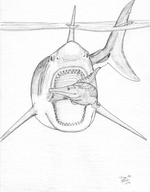 nbsp nbspMegalodonam pēc... Autors: Mao Meow Megalodons – Lielākā haizivs kāda peldējusi pa okeāniem.