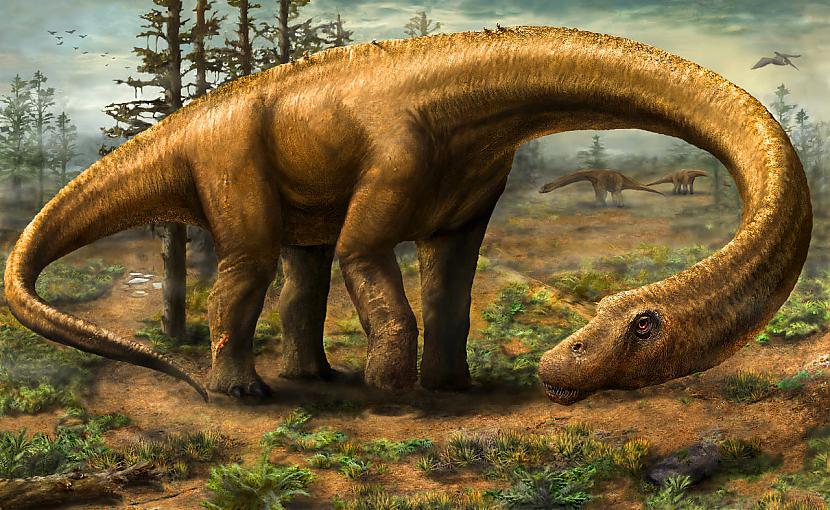 nbspnbspScaronie dinozauri... Autors: Mao Meow Titanozauru klase – pasaules lielāka dinozauru klase.