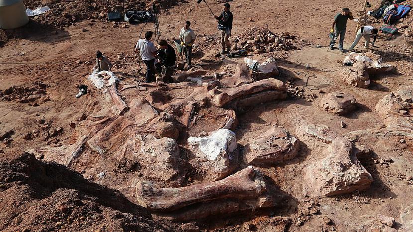 nbsp nbspScaronī fosilija bija... Autors: Mao Meow Titanozauru klase – pasaules lielāka dinozauru klase.
