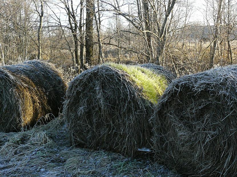  Autors: lucifers Aiz loga sniedziņš.