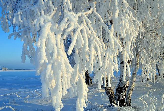  Autors: Fosilija Ziemas bildes.