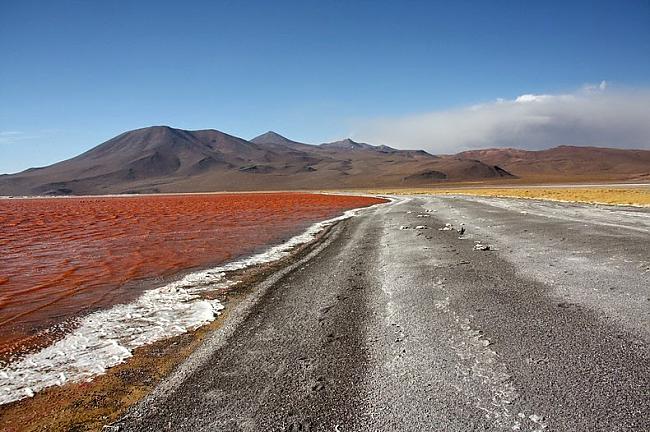  Autors: Fosilija Asins (kalorodo) lagūna Bolīvijā.