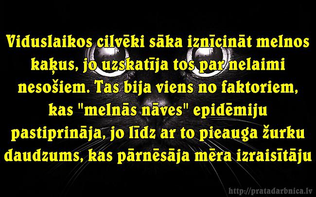  Autors: Prāta Darbnīca Fakti tavam prātam 2