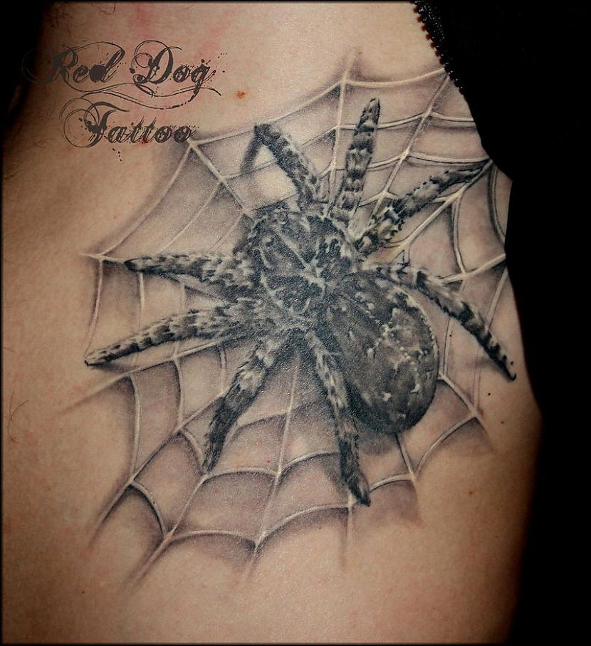 Zirnekļa tīklsUz elkoņiem vai... Autors: andzaskele tetovējumi