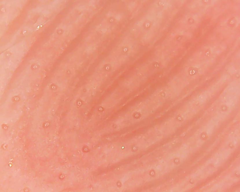 Rādītājpirksta āda Redzam... Autors: Moonwalker USB mikroskops tavam datoram