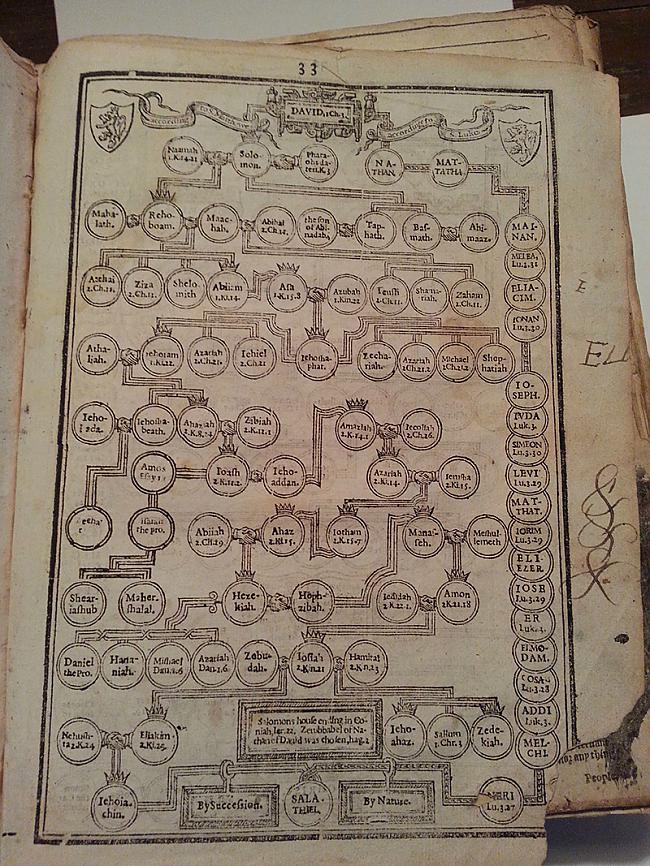 Dzimtas koks Autors: Sātans Tā izskatās gandrīz 400 gadus veca bībele.
