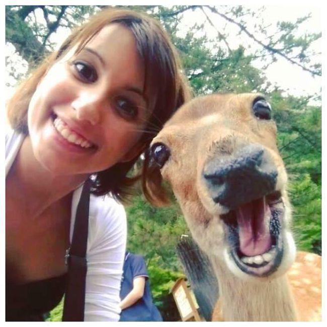  Autors: BodyBoard Dzīvnieki arī grib selfiju!