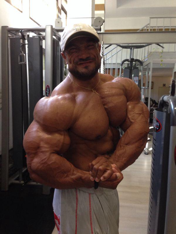  Autors: Stallion Roelly Winklaar.