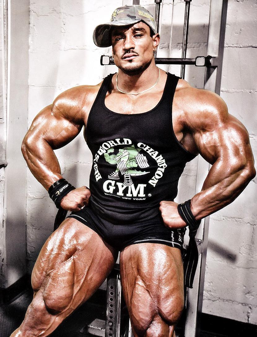  Autors: Stallion Roelly Winklaar.