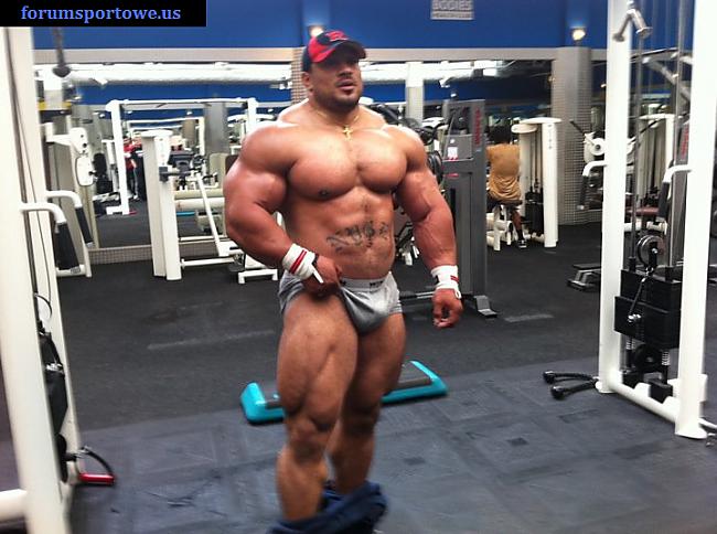  Autors: Stallion Roelly Winklaar.