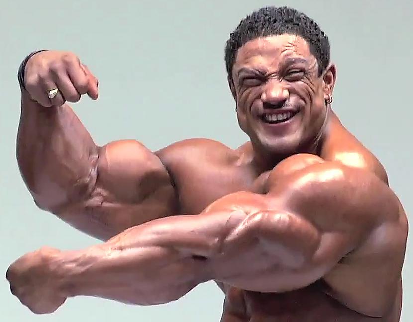  Autors: Stallion Roelly Winklaar.