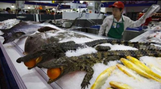 Saldēti krokodilīscaroni Autors: kaķūns Ko var atrast Ķīnas tirgū?