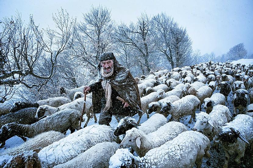 quotVecais aitu gansquotAutors... Autors: kaķūns Paņems tevi savā varā: jaudīgas Sony awards 2015 fotogrāfijas